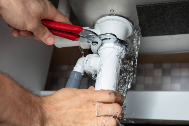 Best Carpet water damage restoration  in Elsmere, KY