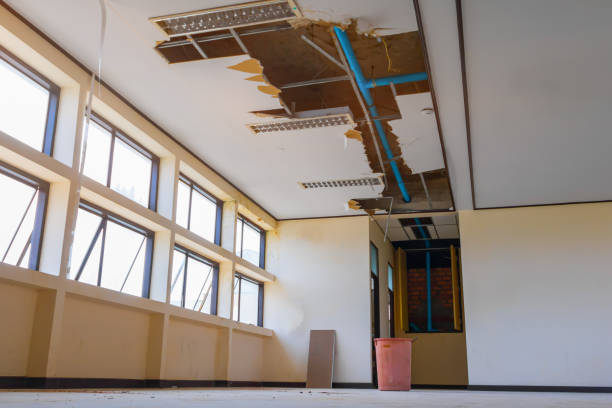 Best Mold removal after water damage  in Elsmere, KY