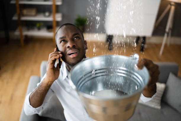 Best Water damage restoration process  in Elsmere, KY