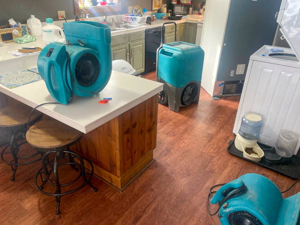 Best Emergency water damage restoration  in Elsmere, KY