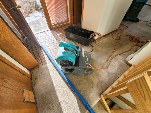 Best Flooded house restoration  in Elsmere, KY