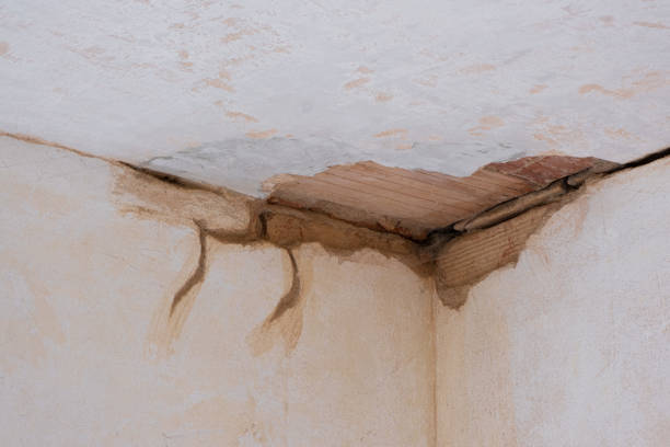 Best Fire Damage Restoration  in Elsmere, KY