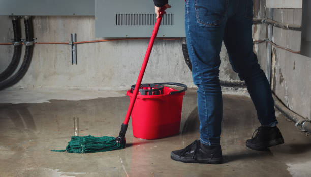 Best Ceiling water damage repair  in Elsmere, KY
