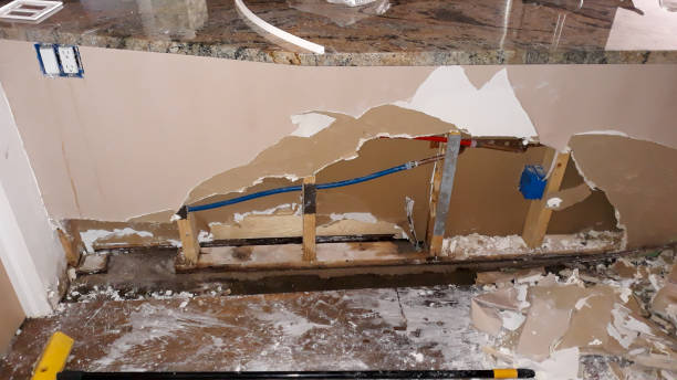 Best Local water damage restoration  in Elsmere, KY