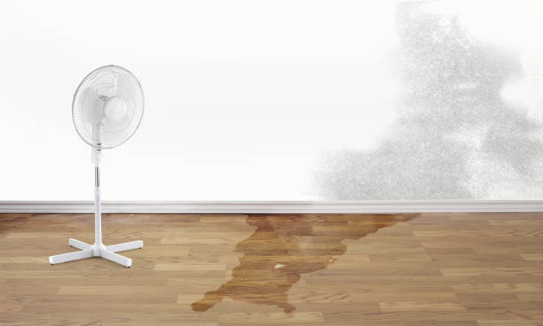 Best 24/7 water damage repair  in Elsmere, KY