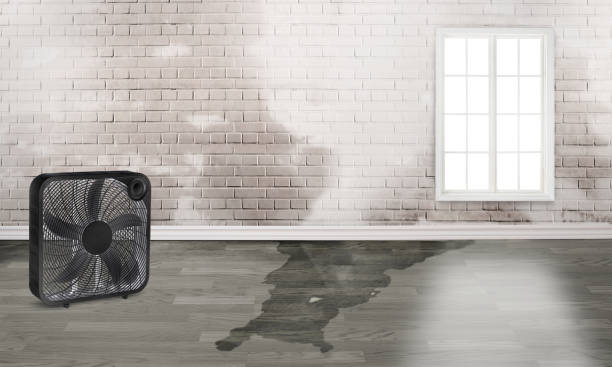 Best 24-hour water damage restoration  in Elsmere, KY