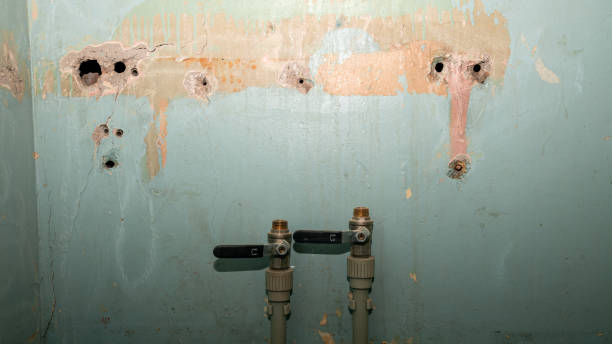 Reliable Elsmere, KY Water damage restoration Solutions