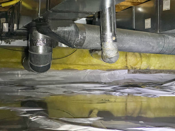 Best Mold removal after water damage  in Elsmere, KY