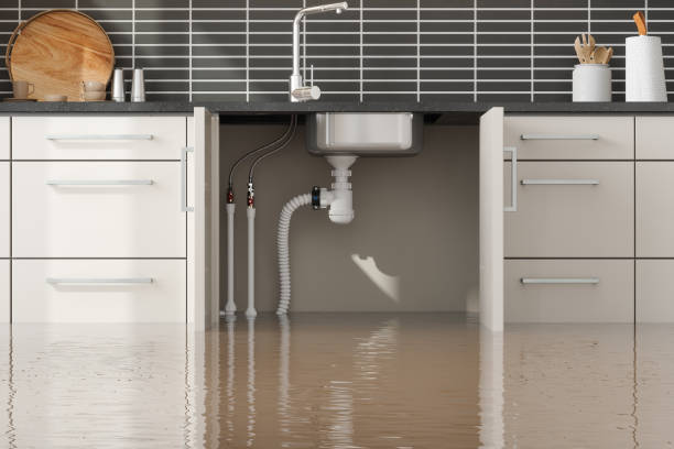 Best Local water damage restoration  in Elsmere, KY