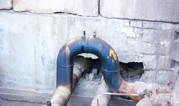 Carpet water damage restoration in Elsmere, KY