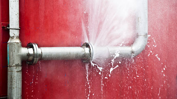 Best Flood restoration services  in Elsmere, KY